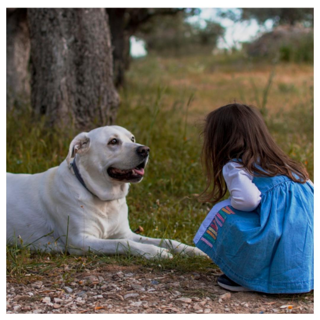 Mijn kind is bang voor honden, hoe los ik dat op?